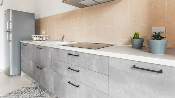 A modern kitchen with grey cabinets, a stainless steel range hood, a sink, and two potted plants. - Belvilla by OYO Appartamento Monferrato (Albugnano)