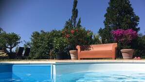 Une piscine avec un banc et des plantes en pot.