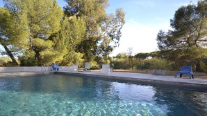 Una piscina cristalina con sillas de descanso y árboles al fondo.