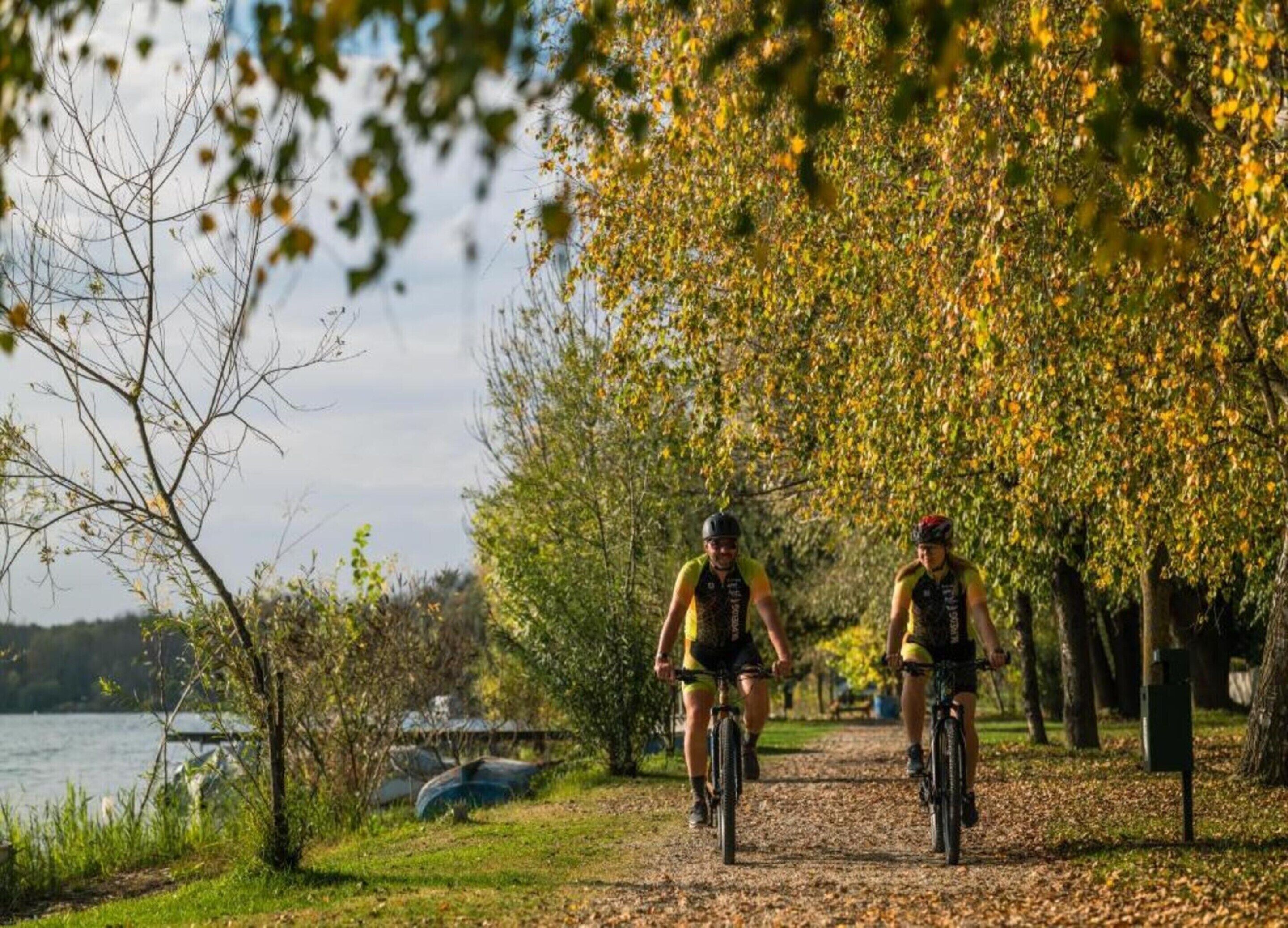 Two cyclists on a leaf-covered path with trees and a body of water in the background.