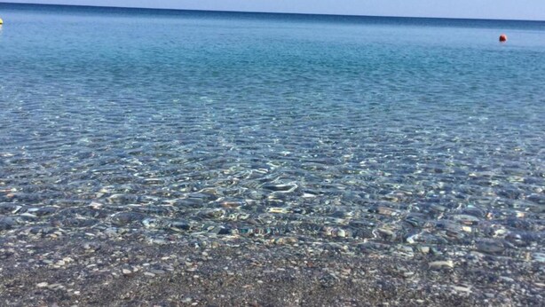 Un cos d'aigua poc profund i translúcid, amb fons pedregós, probablement una platja o mar poc fonda.