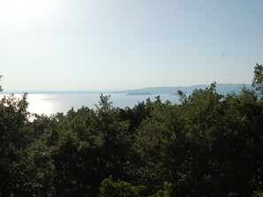 Esterni