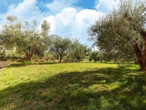 Apartment | Garden - Apartment in Tuoro Near Lake Trasimeno (Tuoro sul Trasimeno)