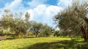 A grassy area with olive trees and a stone wall. - Spacious Lakefront Apartment (Tuoro sul Trasimeno)
