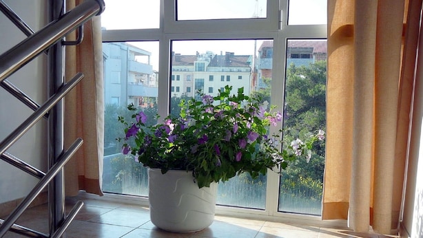 Unclassified image, 1 of 10, button - Modern Holiday Home Zadar With Veranda (Zadar)