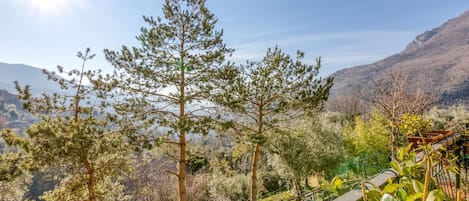 Casa | Vista desde la propiedad