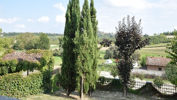 Property grounds - Charming Holiday Home in Agliano Terme With Private Pool (Agliano Terme)