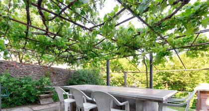 Pretty Apartment in Boccheggiano With Swimming Pool