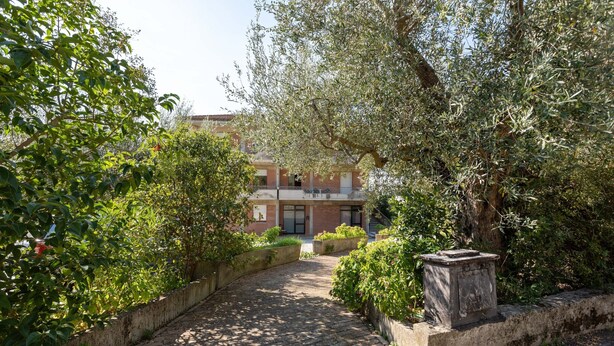 A paved pathway leading to a building with a brick facade, surrounded by lush greenery and trees.