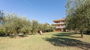 A grassy area with trees and a building in the background.