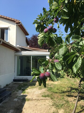 Jardin