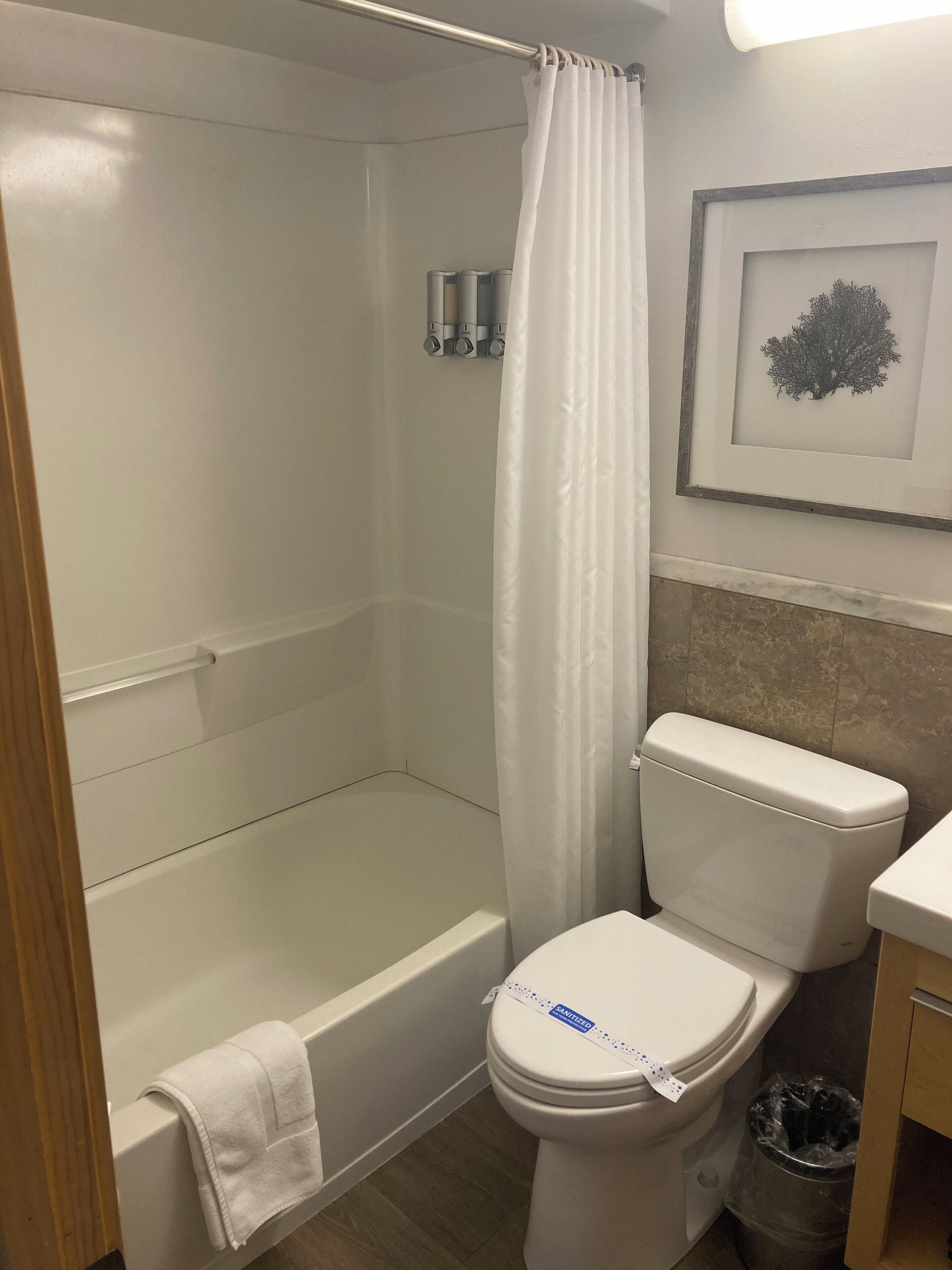 Et badeværelse med brusebad, toilet og et billede i ramme på væggen.
