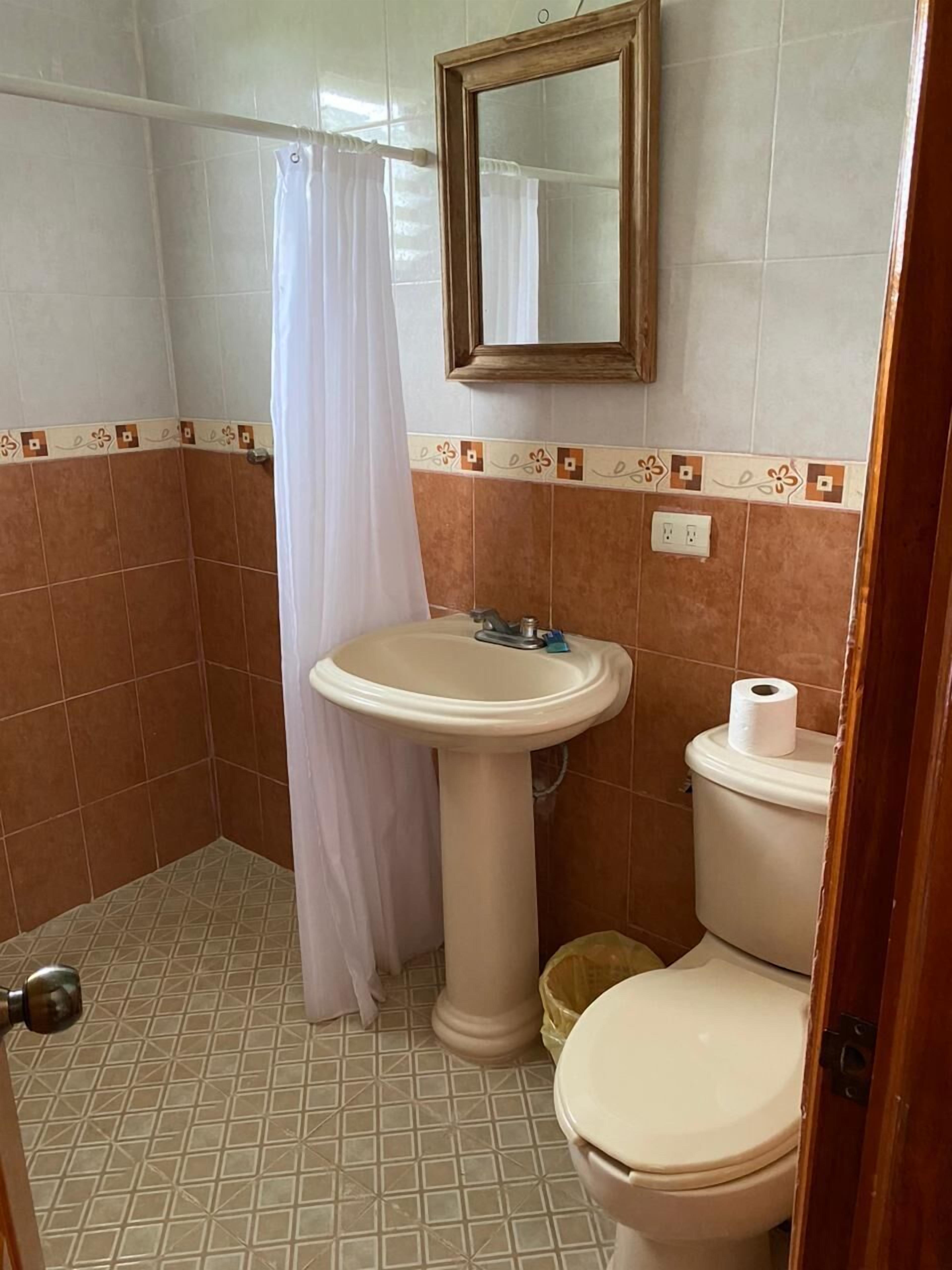 A bathroom with a pedestal sink, toilet, and a shower curtain.