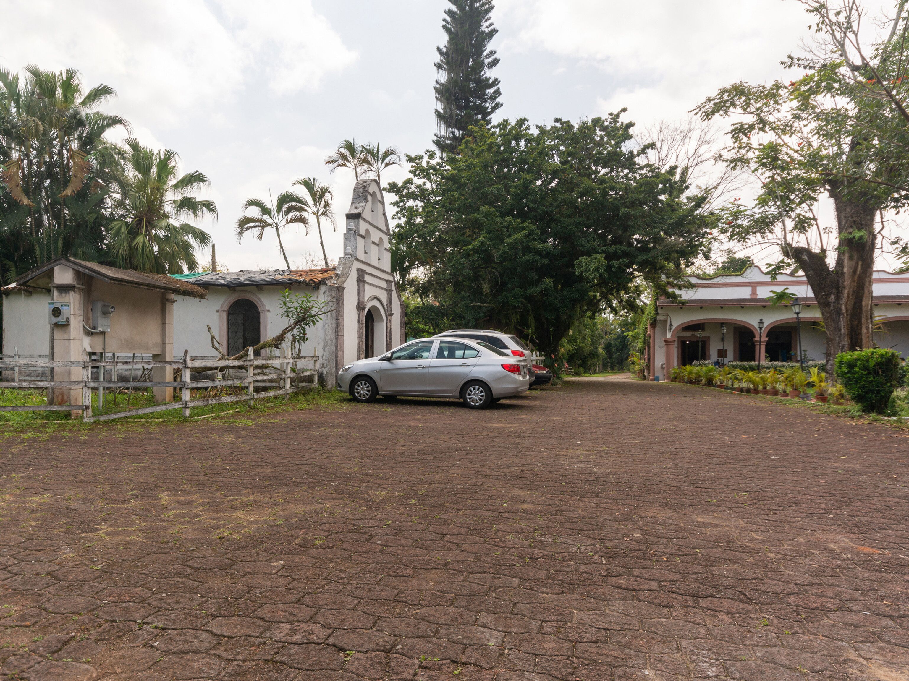 A paved driveway leading to a building with a bell tower, surrounded by palm trees and greenery.