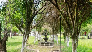 A park pathway with a central fountain, surrounded by trees and a grassy area. - Rancho Hotel El Carmen (Tlapacoyan)