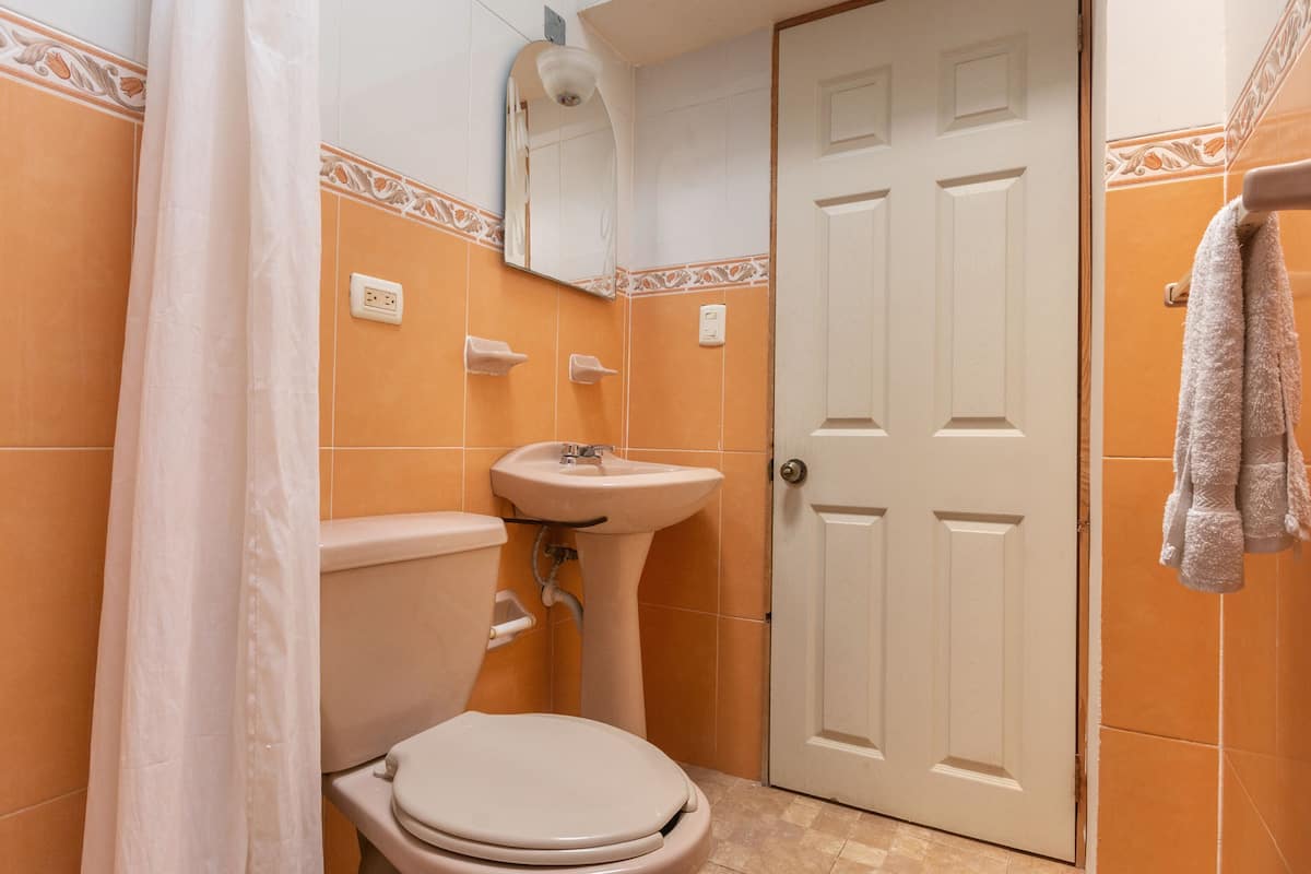 A bathroom with a toilet, sink, and shower curtain.