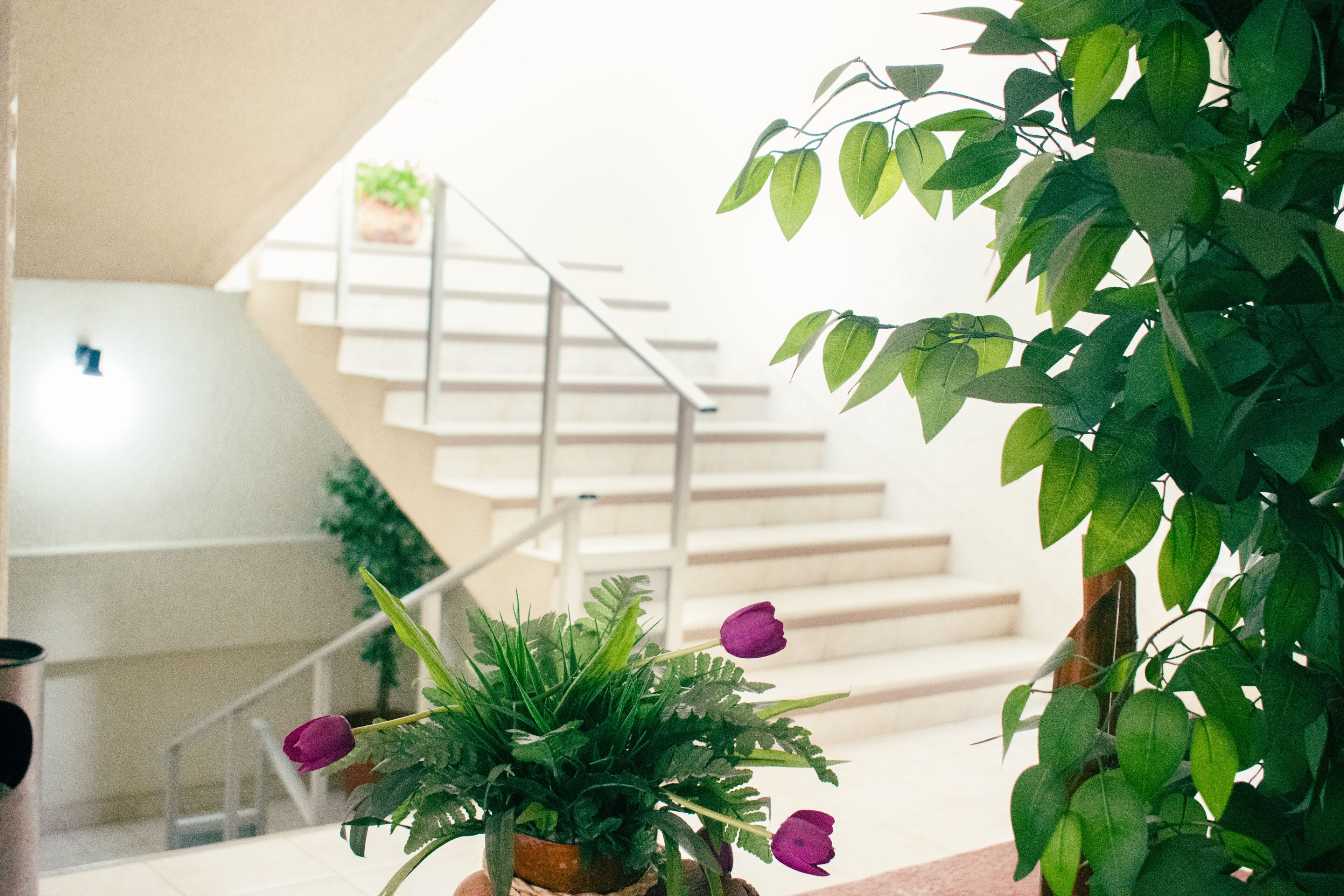 Foto - Suites del Sol