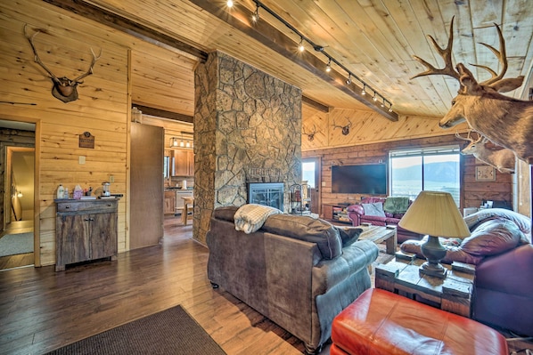 TV, lareira