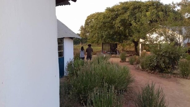 A rural setting with a dirt path leading to a white building with a blue door. There are two people walking towards the building, and a large tree is visible in the background. - Camping Sitaba Lodge (Janjanbureh)