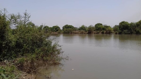 A calm lake with dense vegetation on the banks.