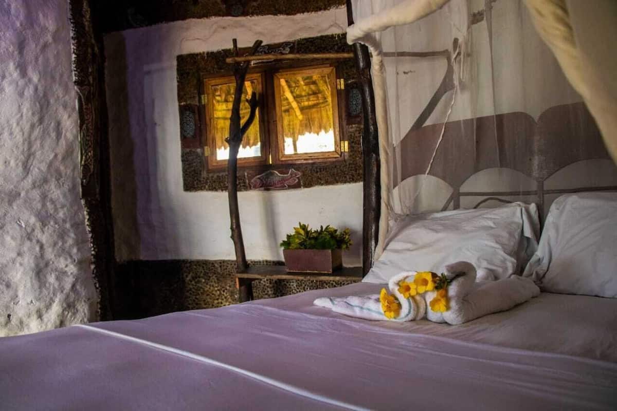 A rustic bedroom with a bed, a window with a wooden frame, and a potted plant on a small table beside the bed.