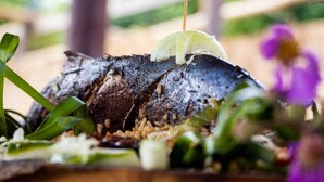 A grilled fish with a lemon slice on top, surrounded by greens and rice.