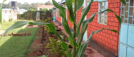 Chi tiết ngoại thất