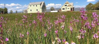 Beautiful Bear Lake House, with big grassy yard, 4 mins to North Beach.