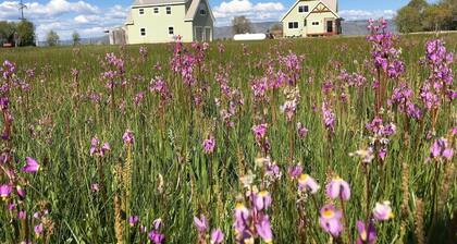 Beautiful Bear Lake House, with big grassy yard, 4 mins to North Beach.