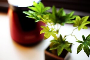 Appartement | Équipements de la chambre