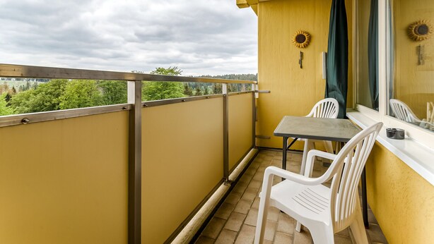 Balcony - Bright Apartment in Hohegeiß With Swimming Pool (Braunlage)