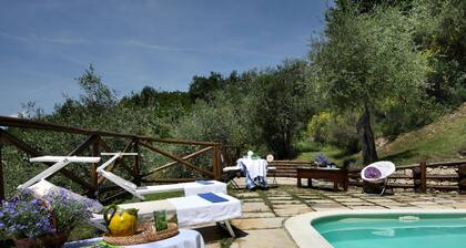Attractive Holiday Home in Magliano With Private Swimming Pool