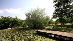 A park with a pond covered in lily pads, a wooden walkway, and trees. - Holiday Home in Chianti With Pool & Garden (Barberino Tavarnelle)