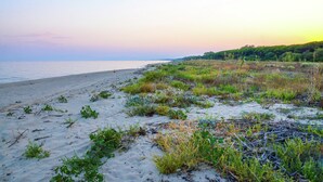 A beach with sand and sparse vegetation. - Holiday Home in Cropani Marina With Pool (Badolato)