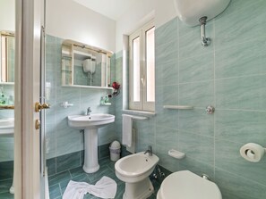Shower, towels - Elegant Apartment in Villammare With Sea View (Vibonati)