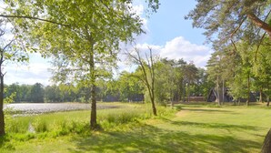 A grassy area with trees and a body of water.