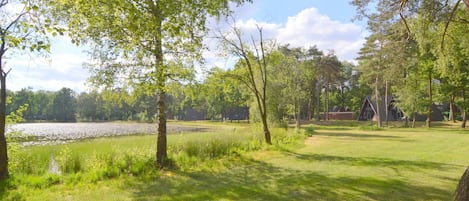 منزل | الإطلالة من المنشأة