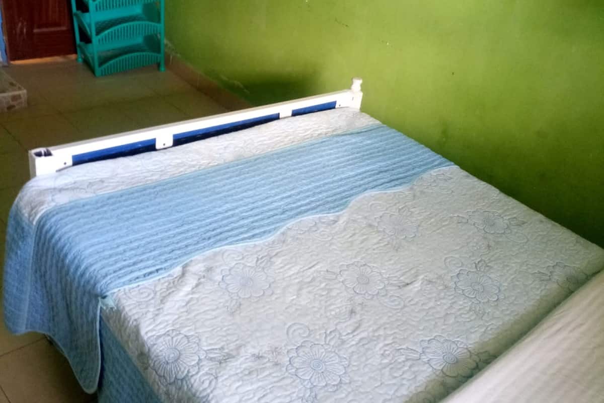 A room with two beds, a green wall, and a blue chair.