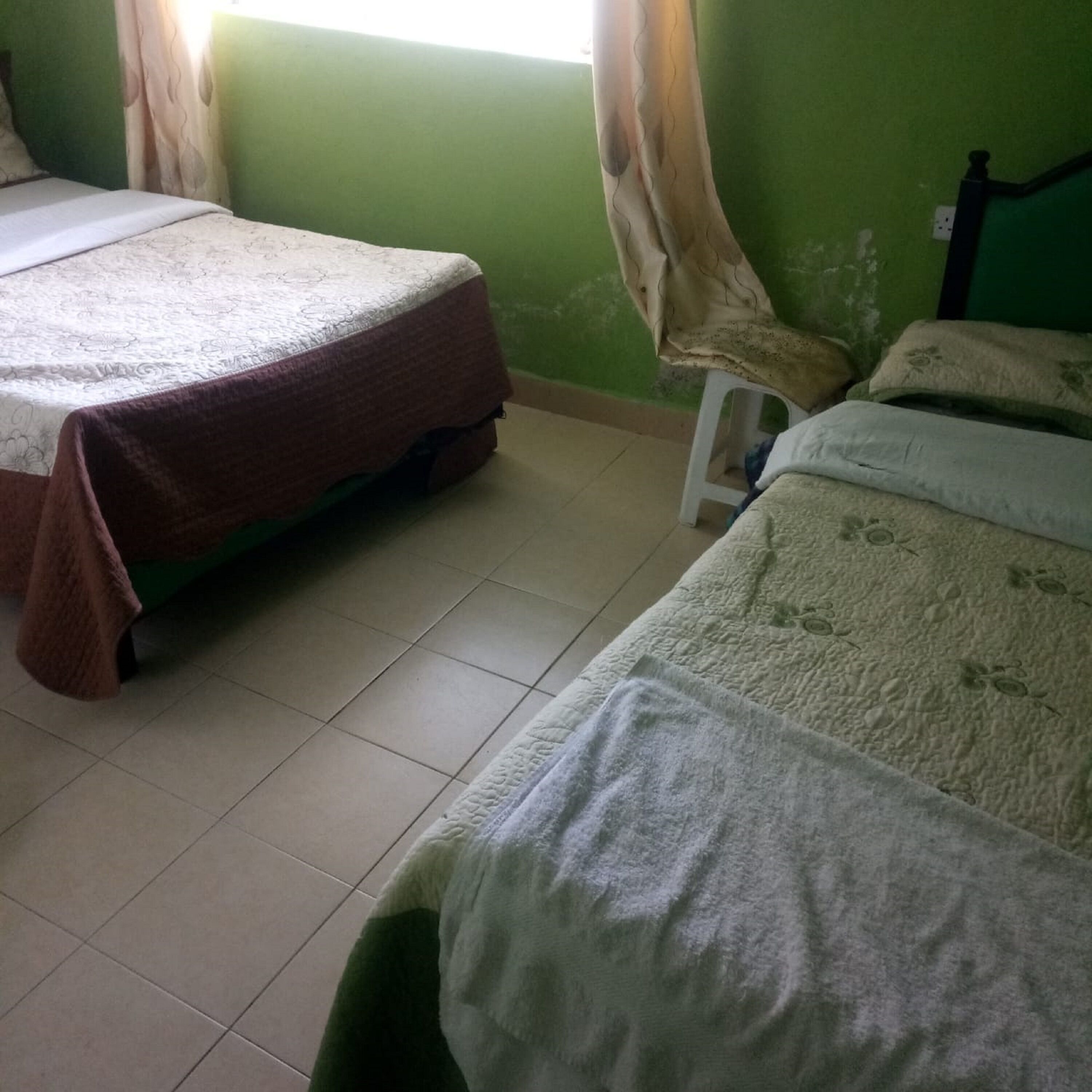 A room with two beds, a green wall, and a window with curtains.