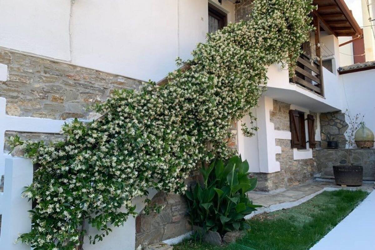 A white building with a stone wall and a staircase covered in white flowers.