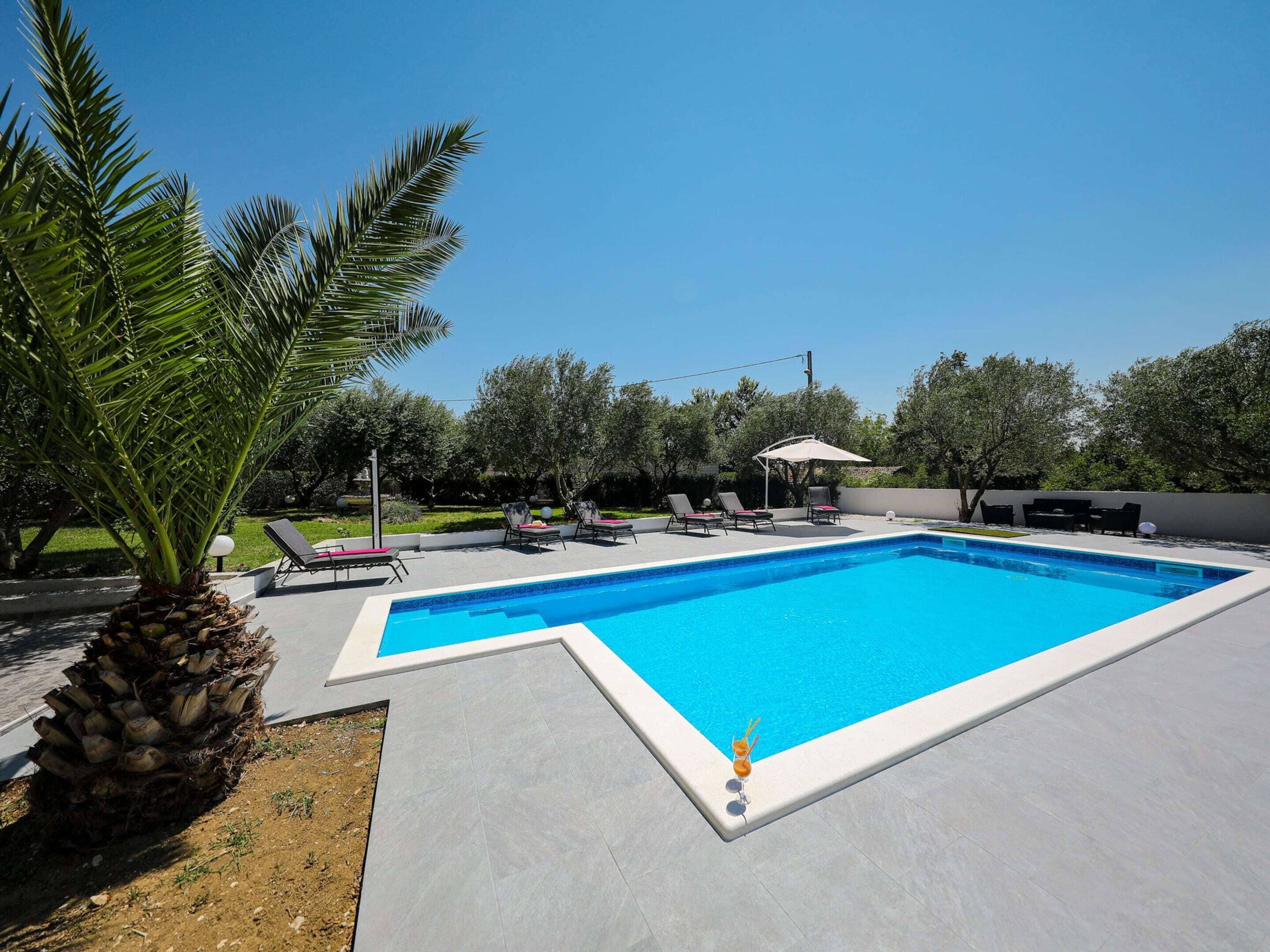 A rectangular swimming pool with a tiled deck, surrounded by lounge chairs and a palm tree.