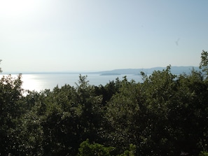 Esterni