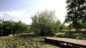 Ein Park mit einem Teich, der mit Seerosen bedeckt ist, einem hölzernen Weg und Bäumen.