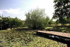 House | View from property