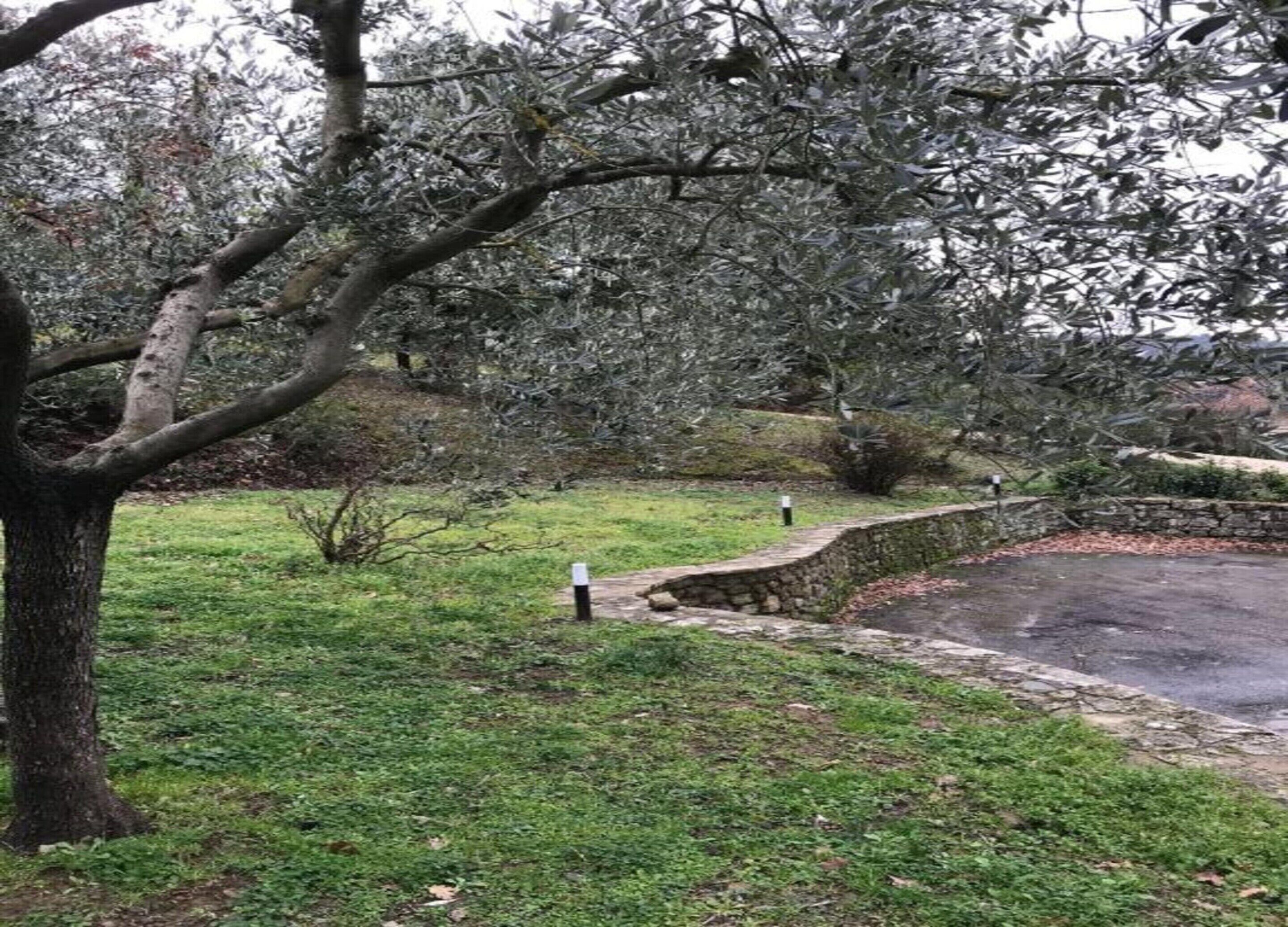 Ein Park mit einer Steinmauer, Rasenflächen und Bäumen.