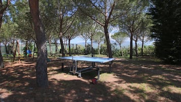 House | Property grounds