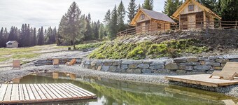 Cozy Chalet in Weisspriach With Terrace