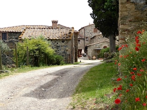 A narrow gravel road leading to a stone building with a tiled roof. - Belvilla by OYO Livorno (Castelnuovo di Val di Cecina)
