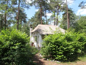 Unclassified image, 3 of 35, button - Quaint Cottage in Doorn With Pool, Garden & BBQ (Doorn)