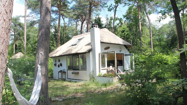 Billede uden beskrivelse, 1 af 35, knap